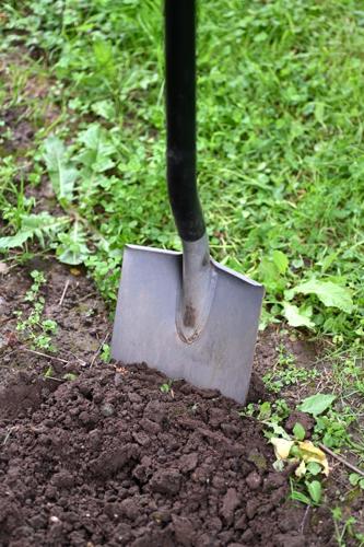 Gardening-Soil Health