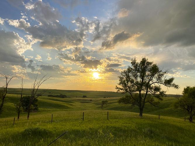 Sunset in N. Buffalo County