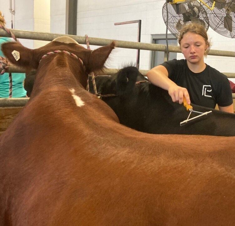 State Fair celebrates 4-Hers from across Nebraska