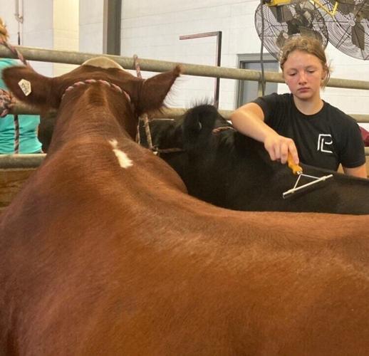 State Fair celebrates 4-Hers from across Nebraska