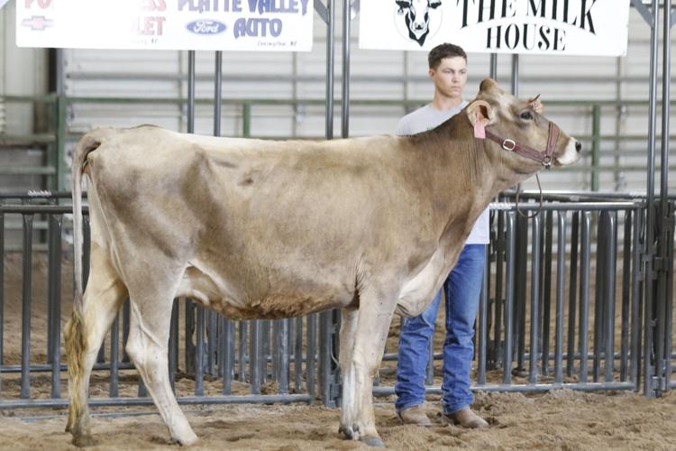 Samual Winter dairy showmanship