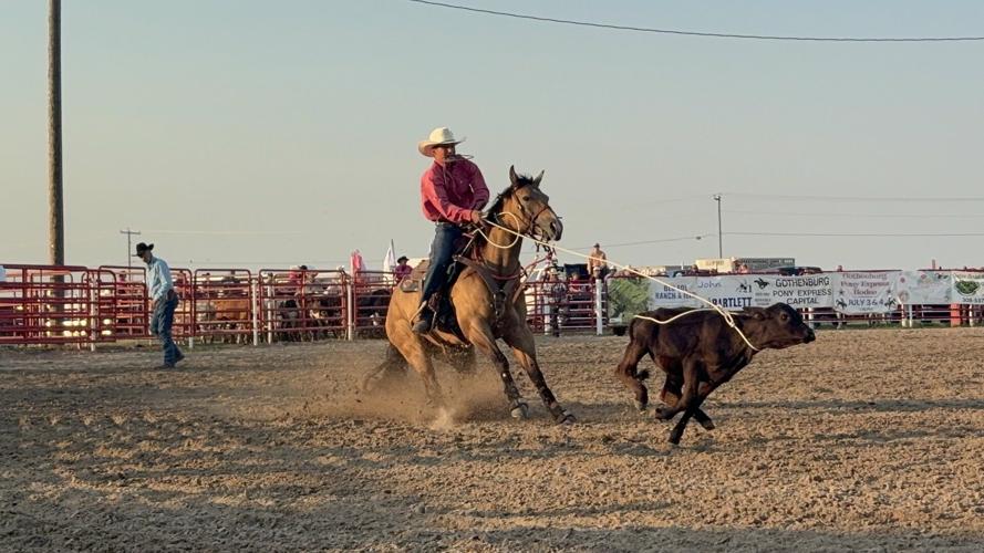 Tie-Down Roping
