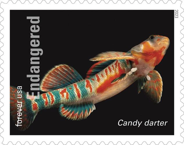 Photo Ark stamps