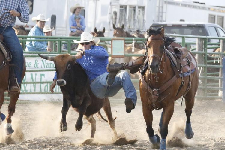52nd annual Elwood Rodeo