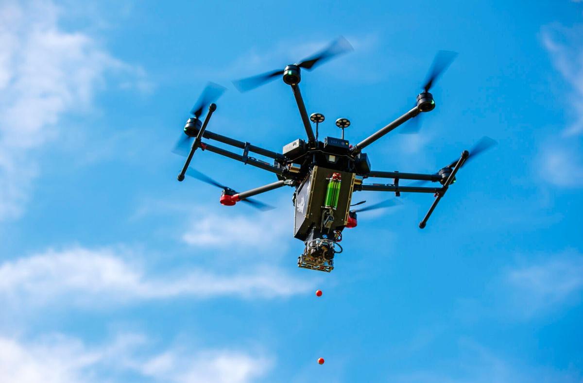 Carrick Detweiler - IGNIS