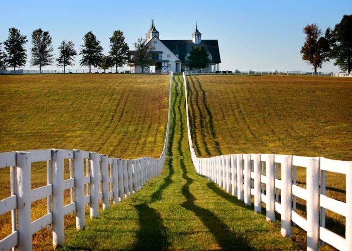 #35. Lexington, Kentucky