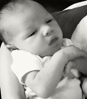 Jennings Thomas Wisdom