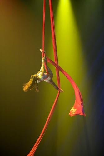 Paranormal Cirque