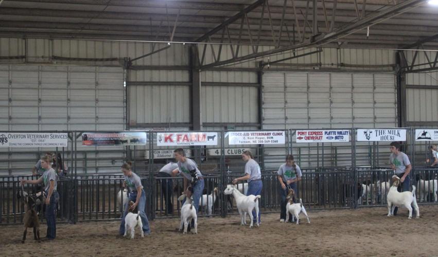 Senior Goat Showmanship.JPG