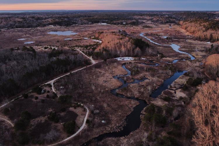 Climate Cranberry Bog Restoration