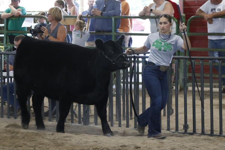Meagan Lassen showmanship
