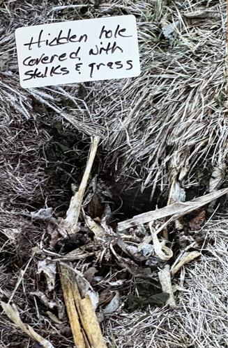 Cemetery photo 6.jpg