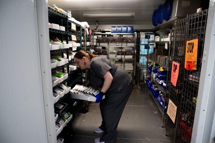 Blood donations are stored in a freezer at Blood Assurance Headquarters in Chattanooga on Monday, May, 4, 2026.
