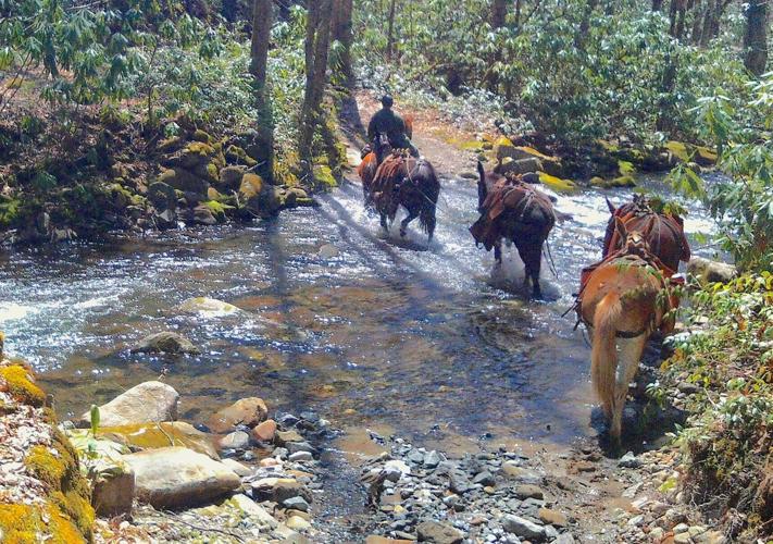 Mule team -- Challenging terrains