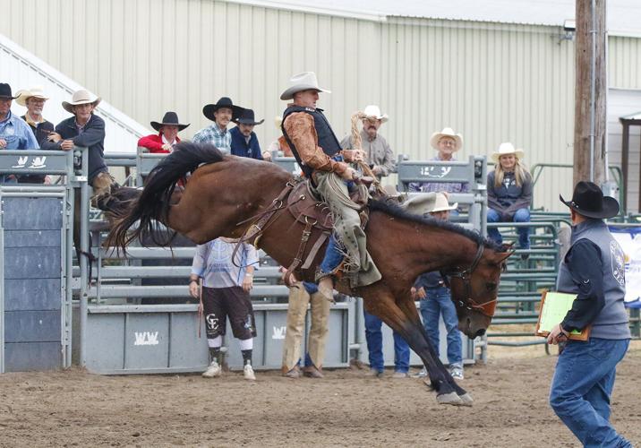 Chad Connelly ranch broncs