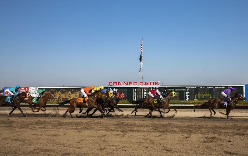 20200407_new_grandisland_kf15