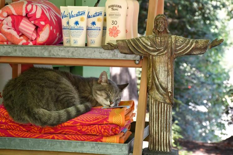 A cat sleeps alongside a Jesus statue and beach gear at Burke’ s Canoe Trips in Forestville along the Russian River.
