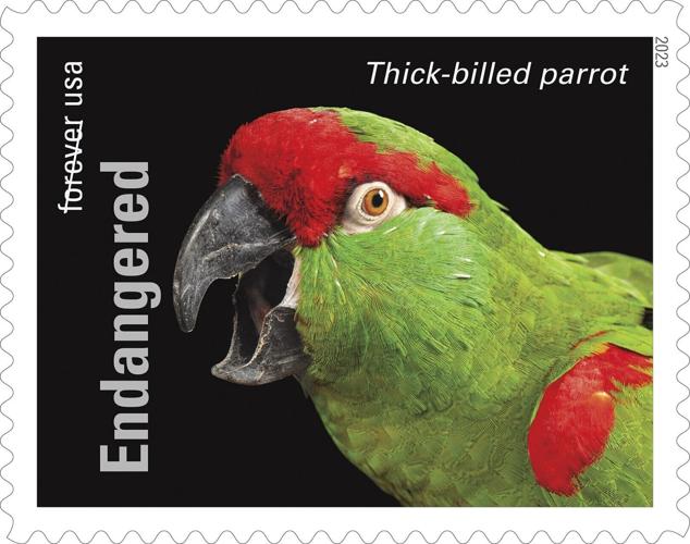 Photo Ark stamps