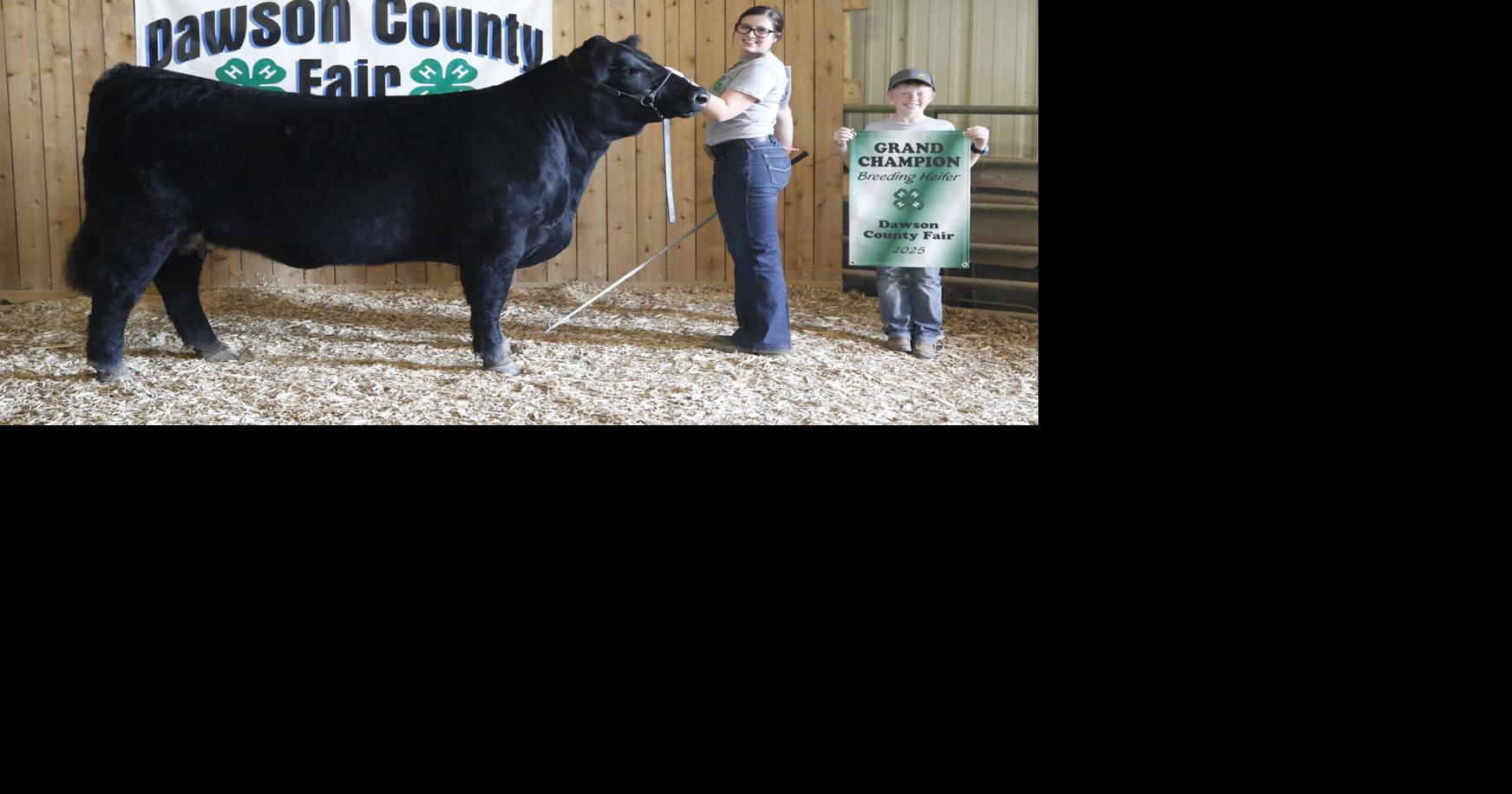 Dawson County to hold first-ever Livestock Premium Auction during fair
