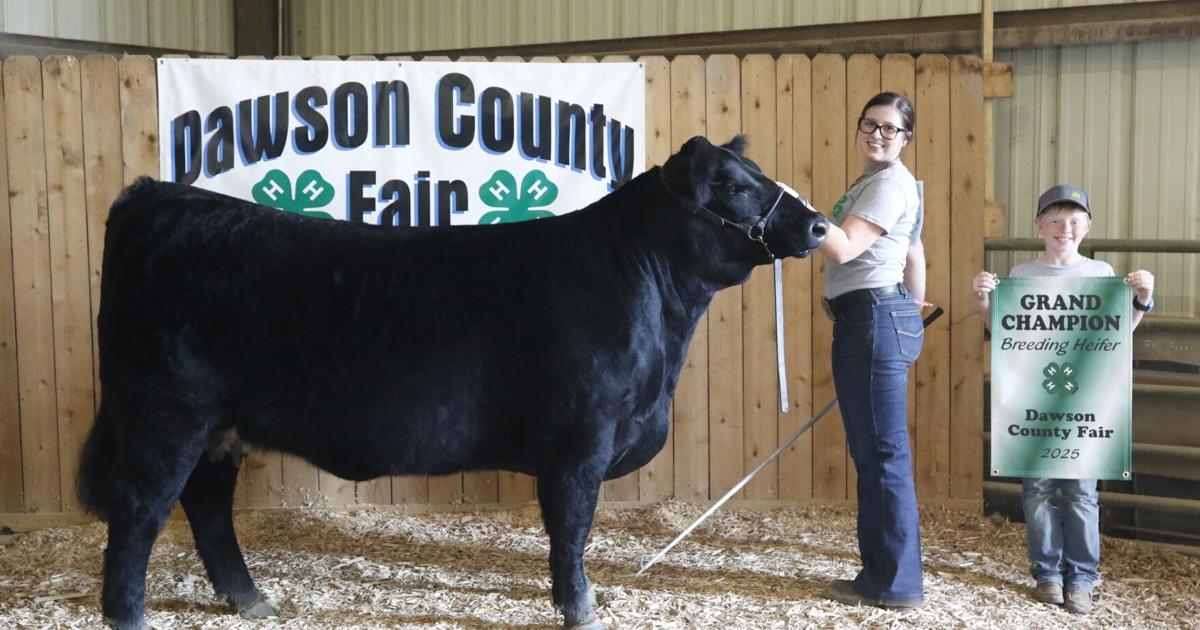 Dawson County to hold first-ever Livestock Premium Auction during fair