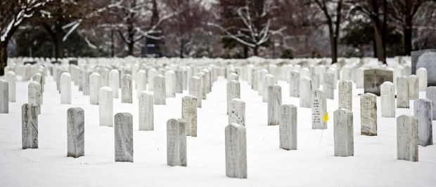 Korean War Veterans Honor Flight, 03/25/2014