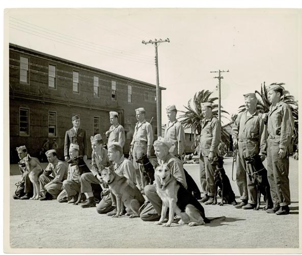 War Dog Platoon