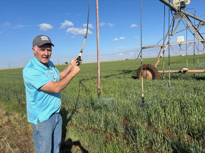 Drought delays crop plantings and hurts wheat yields in the U.S. Plains