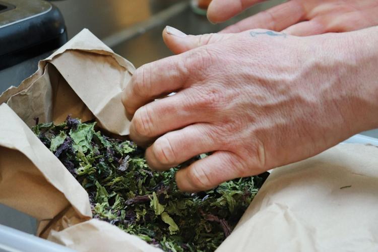 Besides salt, local delicacies at Île de Ré include seaweed, here dried and featuring in many forms in the region's kitchens and restaurants.