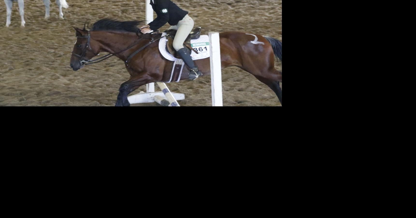 Dawson County Fair 4-H horse show results