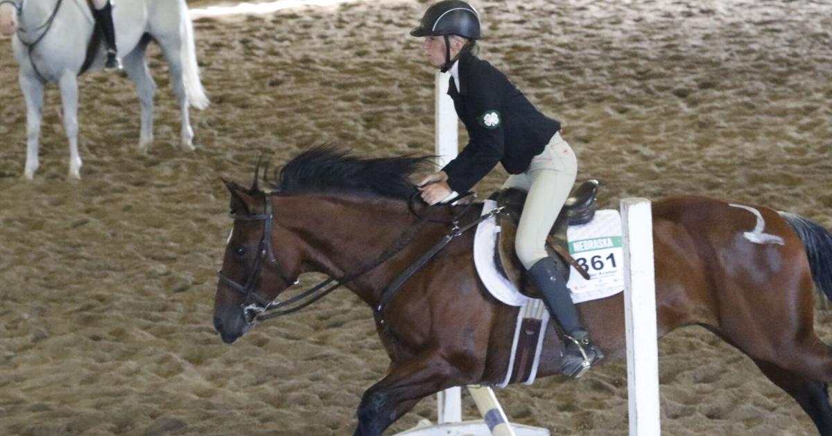 Dawson County Fair 4-H horse show results