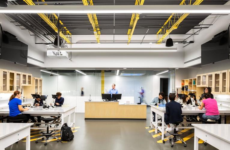 BellevueUniv_Labs_PP1001_.jpg