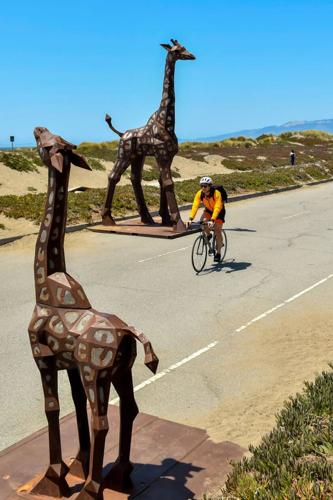 A bike path in Sunset Dunes Park.