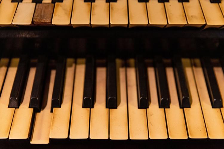 organ-ar05