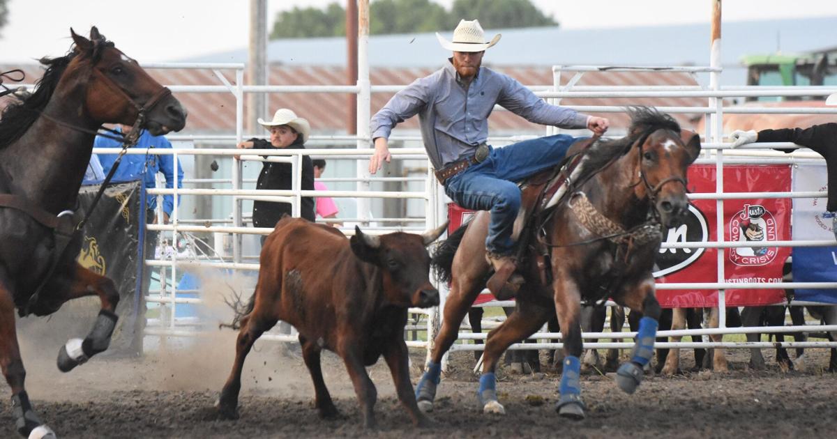 Two local steer wrestlers compete at Wahoo PRCA Rodeo