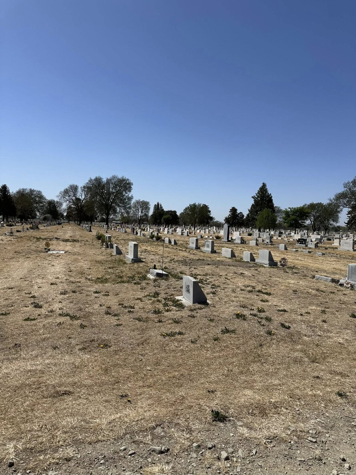 Greenwood Cemetery