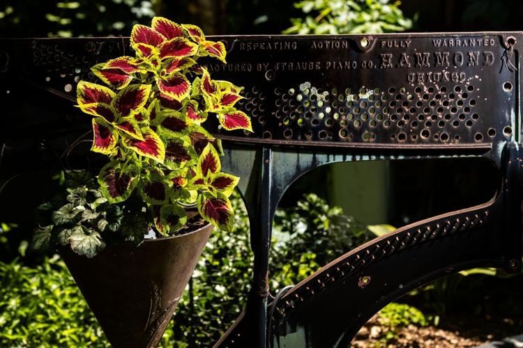 070923-owh-liv-marjgardenco-pic-cm05