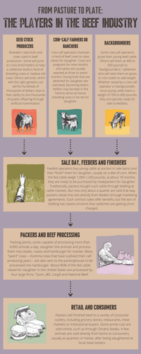From Pasture to Plate: The players in the beef industry
