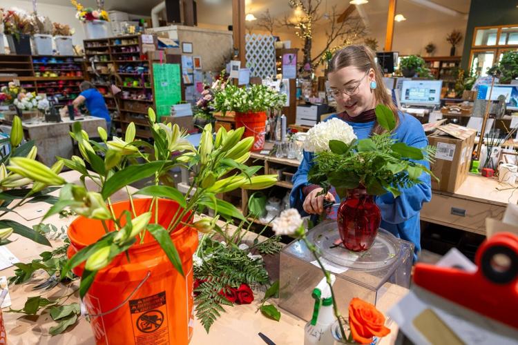 Oak Creek Plant Store, 5.19