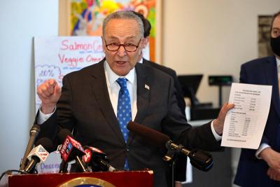 Senate Majority Leader Charles Schumer