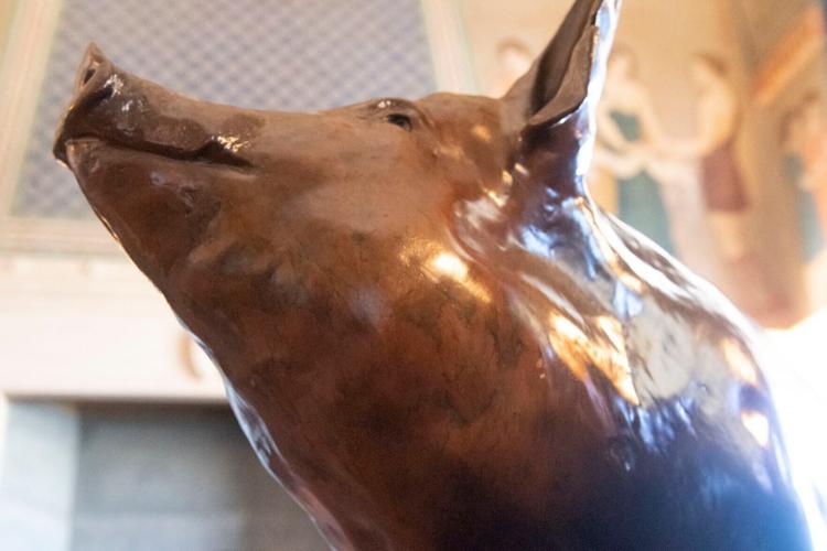 Jim Pillen office metal pig, 3.1