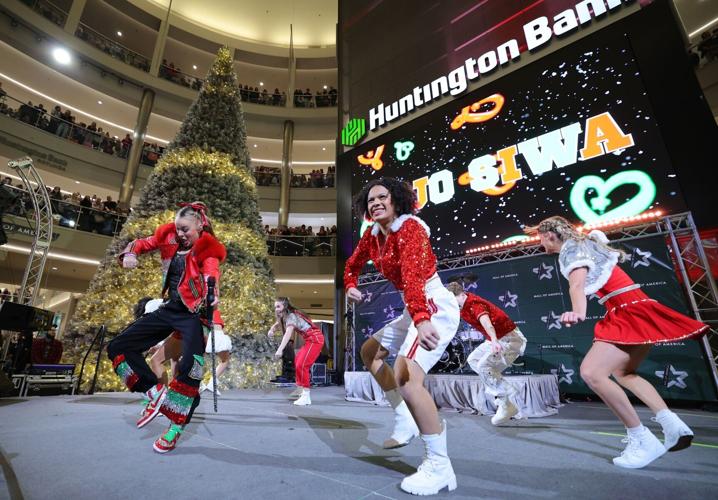 Black Friday Holiday Shopping