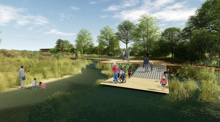 Wetlands exploration deck