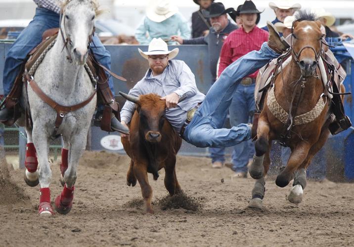 Kaden Wooters steer wrestling