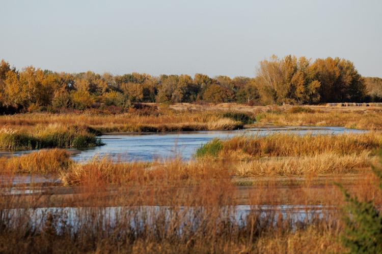 102224-wildart-05-main