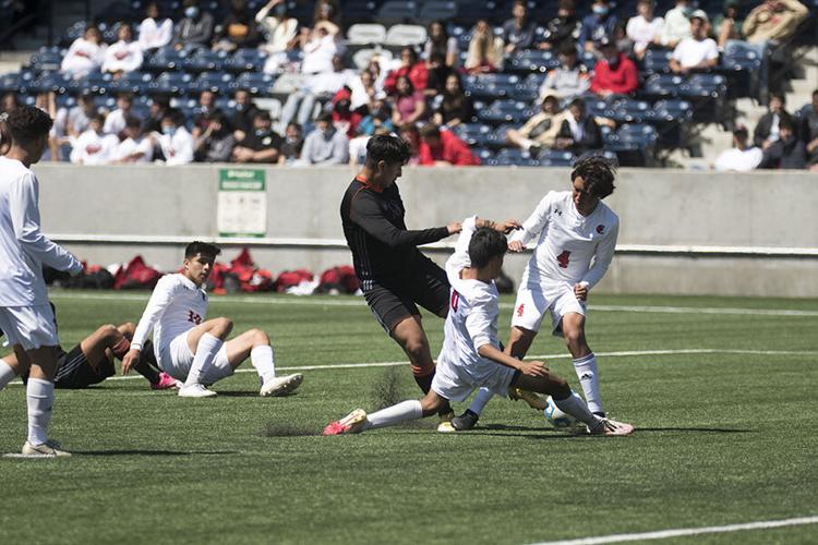 Fredy Vargas WEB.jpg