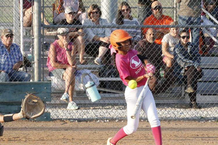 Lexington drops home softball match to Southern Valley