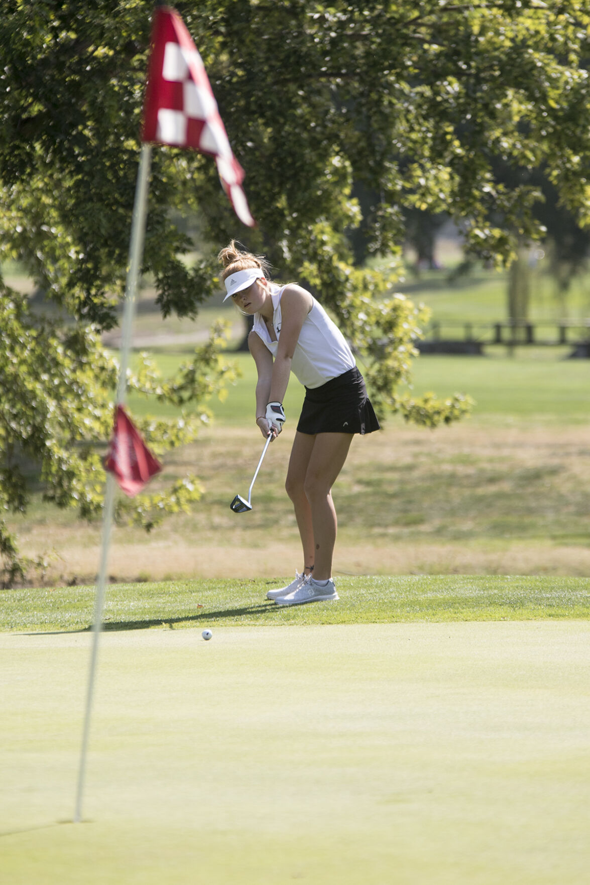 Lexington golf takes sixth at Holdrege Sports News