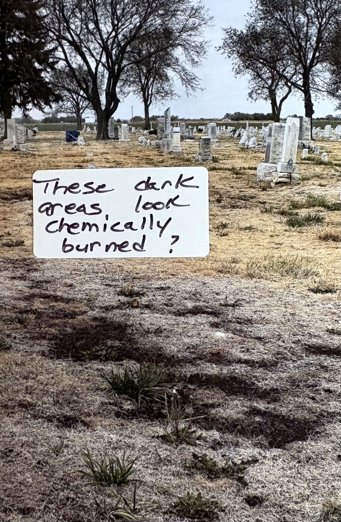 Cemetery photo 4.jpg