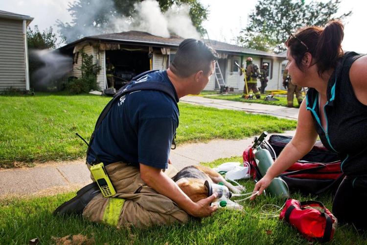 House fire, dog rescue