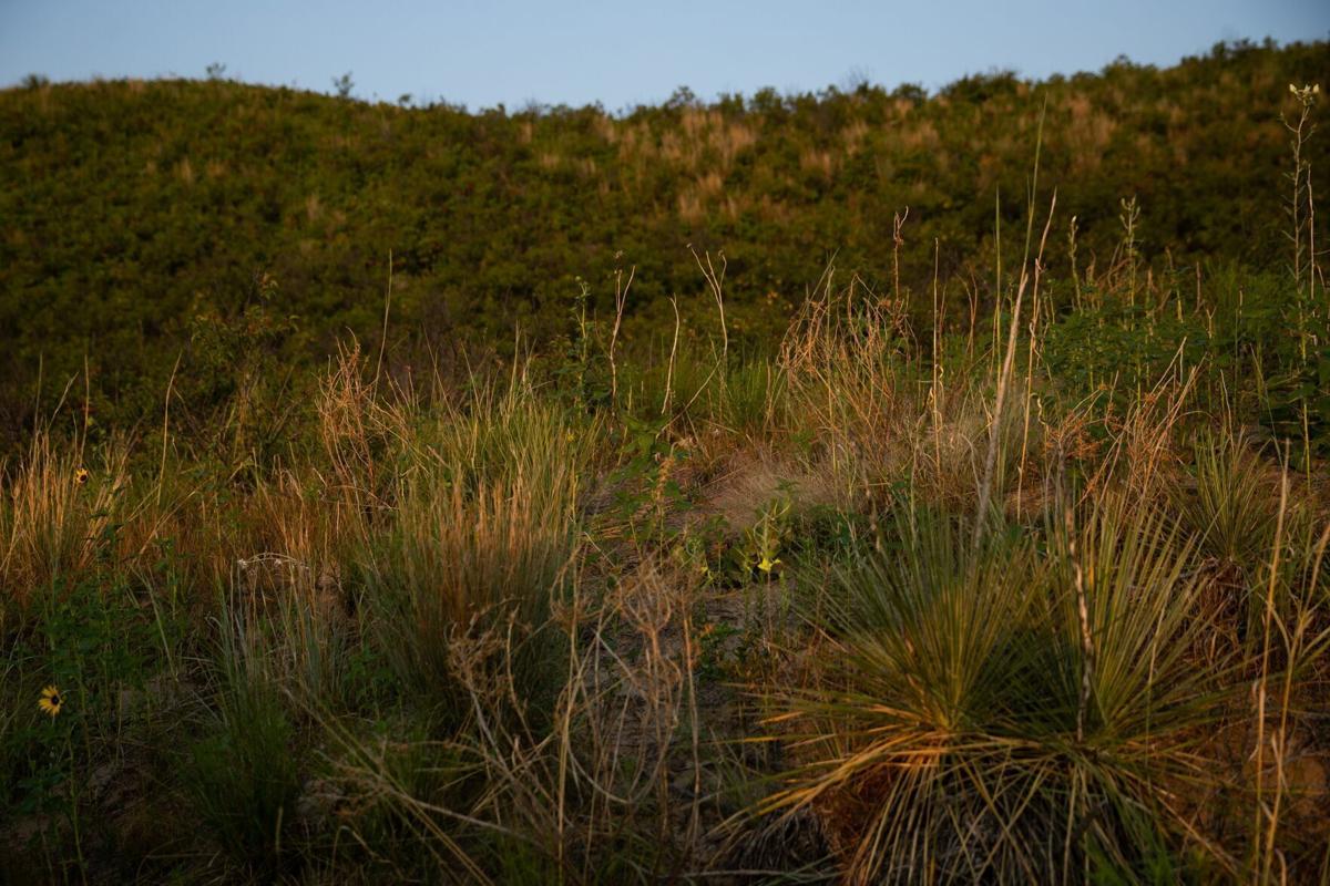 Sandhills